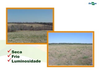 Seca
Frio
Luminosidade
 