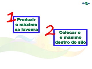 Produzir
o máximo
na lavoura
1
Colocar o
o máximo
dentro do silo
2
 