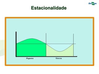 Estacionalidade
 