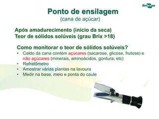 Ponto de ensilagem
(cana de açúcar)
Após amadurecimento (início da seca)
Teor de sólidos solúveis (grau Brix >18)
Como monitorar o teor de sólidos solúveis?
• Caldo da cana contém açúcares (sacarose, glicose, frutose) e
não açúcares (minerais, aminoácidos, gordura, etc)
• Refratômetro
• Amostrar várias plantas na lavoura
• Medir na base, meio e ponta do caule
 