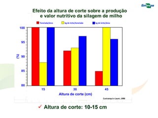  Altura de corte: 10-15 cm
Efeito da altura de corte sobre a produção
e valor nutritivo da silagem de milho
Tonelada/área kg de leite/tonelada kg de leite/área
15 30 45
Altura de corte (cm)
Cusicanqui e Lauer, 1996
100
95
90
85
80
(%)
 