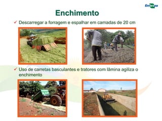 Enchimento
 Descarregar a forragem e espalhar em camadas de 20 cm
 Uso de carretas basculantes e tratores com lâmina agiliza o
enchimento
 