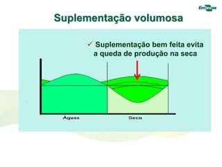  Suplementação bem feita evita
a queda de produção na seca
Suplementação volumosa
 