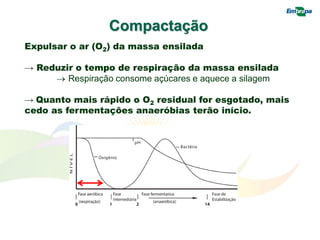 Expulsar o ar (O2) da massa ensilada
→ Reduzir o tempo de respiração da massa ensilada
 Respiração consome açúcares e aquece a silagem
→ Quanto mais rápido o O2 residual for esgotado, mais
cedo as fermentações anaeróbias terão início.
Compactação
 