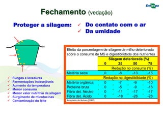 Fechamento (vedação)
Proteger a silagem:  Do contato com o ar
 Da umidade
 Fungos e leveduras
 Fermentações indesejáveis
 Aumento da temperatura
 Menor consumo
 Menor valor nutritivo da silagem
 Surgimento de micotoxinas
 Contaminação do leite
Efeito da porcentagem de silagem de milho deteriorada
sobre o consumo de MS e digestibilidade dos nutrientes
Silagem deteriorada (%)
0 25 50 75
Redução no consumo (%)
Matéria seca 0 -8 -13 -16
Redução na digestibilidade (%)
Matéria orgânica 0 -7 -9 -10
Proteína bruta 0 -5 -9 -16
Fibra det. Neutro 0 -11 -17 -17
Fibra det. Ácido 0 -18 -26 -28
Adaptado de Bolsen (2002)
 