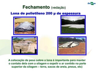Lona de polietileno 200 µ de espessura
Fechamento (vedação)
A colocação de peso sobre a lona é importante para manter
o contato dela com a silagem e expelir o ar contido na parte
superior da silagem – terra, sacos de areia, pneus, etc)
 