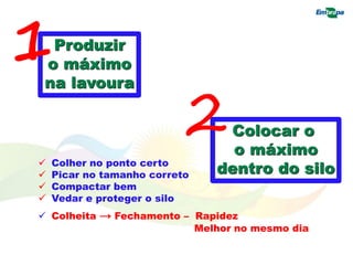 Produzir
o máximo
na lavoura
1
Colocar o
o máximo
dentro do silo
2
 Colher no ponto certo
 Picar no tamanho correto
 Compactar bem
 Vedar e proteger o silo
 Colheita → Fechamento – Rapidez
Melhor no mesmo dia
 