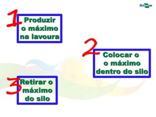 Produzir
o máximo
na lavoura
1
Colocar o
o máximo
dentro do silo
2
Retirar o
máximo
do silo
3
 
