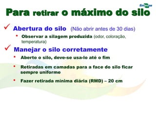 Para retirar o máximo do silo
 Abertura do silo (Não abrir antes de 30 dias)
 Manejar o silo corretamente
• Aberto o silo, deve-se usa-lo até o fim
• Retiradas em camadas para a face do silo ficar
sempre uniforme
• Fazer retirada mínima diária (RMD) – 20 cm
• Observar a silagem produzida (odor, coloração,
temperatura)
 