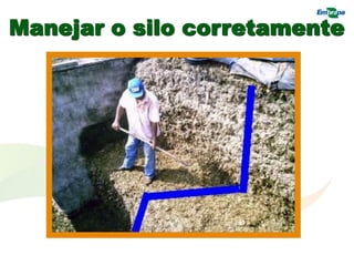 Manejar o silo corretamente
 