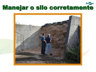 Manejar o silo corretamente
 