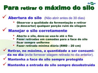 Para retirar o máximo do silo
 Abertura do silo (Não abrir antes de 30 dias)
 Manejar o silo corretamente
• Aberto o silo, deve-se usa-lo até o fim
• Fazer retiradas em camadas para a face do silo
ficar sempre uniforme
• Fazer retirada mínima diária (RMD – 20 cm)
 Retirar, no máximo, a quantidade a ser consumi-
da no dia (evite fornecer silagem retirada no dia anterior).
 Mantenha a face do silo sempre protegida.
 Mantenha a entrada do silo sempre desobstruída.
• Observar a qualidade da fermentação e retirar
(e descartar) qualquer porção ruim da silagem
 