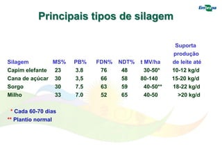 Suporta
produção
Silagem MS% PB% FDN% NDT% t MV/ha de leite até
Capim elefante 23 3.8 76 48 30-50* 10-12 kg/d
Cana de açúcar 30 3,5 66 58 80-140 15-20 kg/d
Sorgo 30 7.5 63 59 40-50** 18-22 kg/d
Milho 33 7.0 52 65 40-50 >20 kg/d
* Cada 60-70 dias
** Plantio normal
Principais tipos de silagem
 