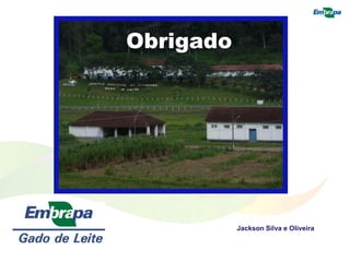 Jackson Silva e Oliveira
Obrigado
 