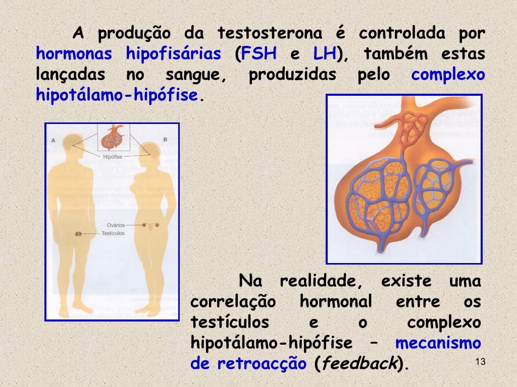 Hormônios Masculinos: Quais São, Funções E Sinais De Alerta – QWFNTW