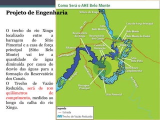 Projeto de Engenharia
O trecho do rio Xingu
localizado
entre
a
barragem
do
Sítio
Pimental e a casa de força
principal
(Sítio
Belo
Monte)
vai
ter
a
quantidade
de
água
diminuída por causa do
desvio das águas para a
formação do Reservatório
dos Canais.
O Trecho de Vazão
Reduzida, será de 100
quilômetros
de
comprimento, medidos ao
longo da calha do rio
Xingu.

 