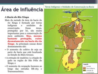 Área de Influência
A Bacia do Rio Xingu
Mais da metade da área da bacia do
rio Xingu é formada por terras
indígenas
e
unidades
de
conservação.
Essas
áreas,
protegidas por lei, são muito
importantes para a conservação do
meio ambiente. Mas, mesmo
bastante
protegida,
existe
desmatamento na bacia do rio
Xingu. As principais causas desse
desmatamento são:
• O aumento do cultivo de soja na
parte da bacia que está localizada
no Estado do Mato Grosso;
• A extração de madeira e a criação de
gado na região de São Félix do
Xingu; e
• O aumento da ocupação humana ao
longo das estradas BR-163 e
Transamazônica.

 
