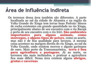 Área de Influência Indireta
Os terrenos dessa área também são diferentes. A parte
localizada ao sul da cidade de Altamira e na região da
Volta Grande do Xingu tem terras boas Pedrais: blocos
de rocha existentes em grande quantidade no rio Xingu,
principalmente abaixo de seu encontro com o rio Bacajá
e perto de seu encontro com o rio Iriri. São ambientes
importantes para alguns animais, como
morcegos, e alguns tipos de peixes, como os acaris,
mas não é de boa qualidade para lavoura. A mesma
coisa acontece na margem direita do rio Xingu, ao sul da
Volta Grande, onde existem morros e alguns garimpos
de ouro. Mais perto da Transamazônica, terra é boa
para agricultura e pastagens. Já ao norte, os
terrenos são mais inclinados, e praticar a agricultura
fica mais difícil. Nessa área existem alguns abrigos,
grutas e cavernas

 