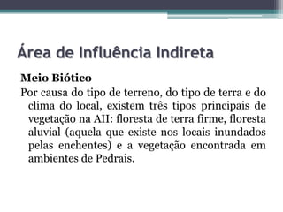 Área de Influência Indireta
Meio Biótico
Por causa do tipo de terreno, do tipo de terra e do
clima do local, existem três tipos principais de
vegetação na AII: floresta de terra firme, floresta
aluvial (aquela que existe nos locais inundados
pelas enchentes) e a vegetação encontrada em
ambientes de Pedrais.

 