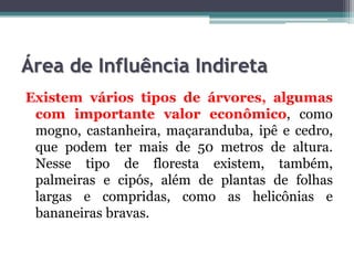Área de Influência Indireta
Existem vários tipos de árvores, algumas
com importante valor econômico, como
mogno, castanheira, maçaranduba, ipê e cedro,
que podem ter mais de 50 metros de altura.
Nesse tipo de floresta existem, também,
palmeiras e cipós, além de plantas de folhas
largas e compridas, como as helicônias e
bananeiras bravas.

 