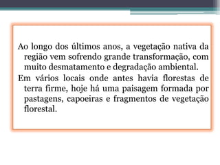Ao longo dos últimos anos, a vegetação nativa da
região vem sofrendo grande transformação, com
muito desmatamento e degradação ambiental.
Em vários locais onde antes havia florestas de
terra firme, hoje há uma paisagem formada por
pastagens, capoeiras e fragmentos de vegetação
florestal.

 