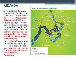 AID/ADA
• os reservatórios do Xingu e
dos Canais, incluindo os
próprios canais e as Áreas
de
Preservação
Permanente (APPs);
• o trecho do Xingu localizado
entre a barragem principal
e a casa de força principal.
Esse é o trecho que vai
sofrer diminuição da
quantidade de água
quando a usina entrar
em operação;
• o trecho do rio Xingu abaixo
da casa de força principal,
indo até a região próxima
aos bancos de areia
onde se reproduzem as
tartarugasdaAmazônia.

 