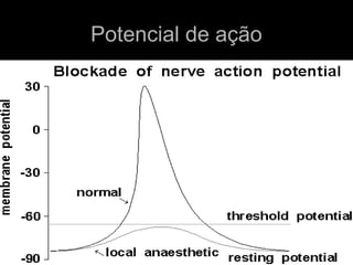 Potencial de ação

 