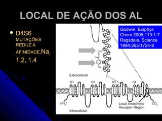 LOCAL DE AÇÃO DOS AL
                   Godwin. Biophys
 D4S6             Chem 2005;113:1-7
  MUTAÇÕES         Ragsdale. Science
  REDUZ A          1994;265:1724-8
  AFINIDADE,Nav
  1.2, 1.4
 