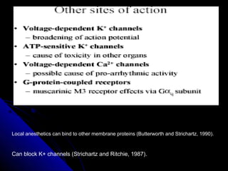 Local anesthetics can bind to other membrane proteins (Butterworth and Strichartz, 1990).



Can block K+ channels (Strichartz and Ritchie, 1987).
 