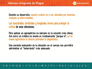 Manejo Integrado de Plagas
 