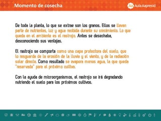 Momento de cosecha
 