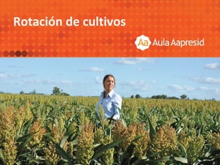 Rotación de cultivos
 