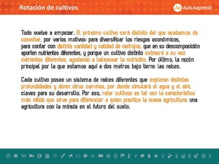 Rotación de cultivos
 