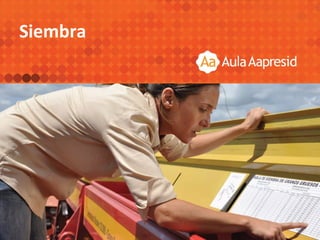 Siembra
 