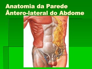 Anatomia da Parede
Ântero-lateral do Abdome
 