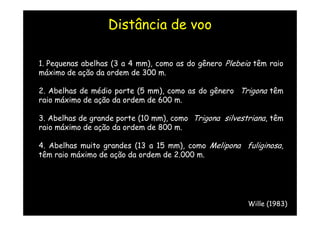 Distância de voo

1. Pequenas abelhas (3 a 4 mm), como as do gênero Plebeia têm raio
máximo de ação da ordem de 300 m.

2. Abelhas de médio porte (5 mm), como as do gênero Trigona têm
raio máximo de ação da ordem de 600 m.

3. Abelhas de grande porte (10 mm), como Trigona silvestriana, têm
raio máximo de ação da ordem de 800 m.

4. Abelhas muito grandes (13 a 15 mm), como Melipona fuliginosa,
têm raio máximo de ação da ordem de 2.000 m.




                                                        Wille (1983)
 
