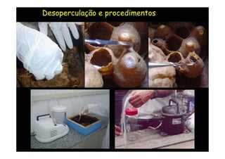 Desoperculação e procedimentos
 