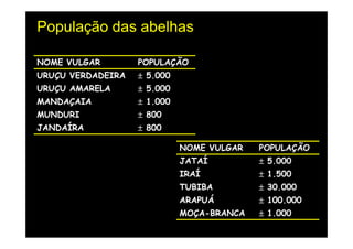 População das abelhas

NOME VULGAR        POPULAÇÃO
URUÇU VERDADEIRA   ± 5.000
URUÇU AMARELA      ± 5.000
MANDAÇAIA          ± 1.000
MUNDURI            ± 800
JANDAÍRA           ± 800

                             NOME VULGAR   POPULAÇÃO
                             JATAÍ         ± 5.000
                             IRAÍ          ± 1.500
                             TUBIBA        ± 30.000
                             ARAPUÁ        ± 100.000
                             MOÇA-BRANCA   ± 1.000
 