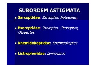 SUBORDEMSUBORDEM ASTIGMATAASTIGMATA
SarcoptidaeSarcoptidae:: SarcoptesSarcoptes,, NotoedresNotoedres,,
PsoroptidaePsoroptidae:: PsoroptesPsoroptes,, ChorioptesChorioptes,,
OtodectesOtodectesOtodectesOtodectes
KnemidokoptidaeKnemidokoptidae:: KnemidokoptesKnemidokoptes
ListrophoridaeListrophoridae:: LynxacarusLynxacarus
 