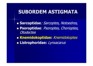SUBORDEMSUBORDEM ASTIGMATAASTIGMATA
SarcoptidaeSarcoptidae:: SarcoptesSarcoptes,, NotoedresNotoedres,,
PsoroptidaePsoroptidae:: PsoroptesPsoroptes,, ChorioptesChorioptes,,
OtodectesOtodectesOtodectesOtodectes
KnemidokoptidaeKnemidokoptidae:: KnemidokoptesKnemidokoptes
ListrophoridaeListrophoridae:: LynxacarusLynxacarus
 