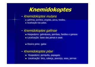 KnemidokoptesKnemidokoptes
–– KnemidokoptesKnemidokoptes mutansmutans
galinhas, pombos, angolas, perus, faisões,galinhas, pombos, angolas, perus, faisões,
localizaçãolocalização nas patas.nas patas.
–– KnemidokoptesKnemidokoptes gallinaegallinae
Hospedeiro: galináceos, pombos, faisões e gansosHospedeiro: galináceos, pombos, faisões e gansosHospedeiro: galináceos, pombos, faisões e gansosHospedeiro: galináceos, pombos, faisões e gansos
Localização: base das penas e asasLocalização: base das penas e asas
Ocorre princ. galosOcorre princ. galos
–– KnemidokoptesKnemidokoptes pilaepilae
Hospedeiro: periquito, papagaioHospedeiro: periquito, papagaio
Localização: bico, cabeça, pescoço, asas, pernasLocalização: bico, cabeça, pescoço, asas, pernas
 