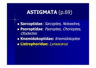 ASTIGMATAASTIGMATA (p.69)(p.69)
SarcoptidaeSarcoptidae:: SarcoptesSarcoptes,, NotoedresNotoedres,,
PsoroptidaePsoroptidae:: PsoroptesPsoroptes,, ChorioptesChorioptes,,
OtodectesOtodectesOtodectesOtodectes
KnemidokoptidaeKnemidokoptidae:: KnemidokoptesKnemidokoptes
ListrophoridaeListrophoridae:: LynxacarusLynxacarus
 