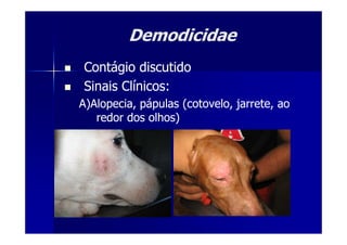 DemodicidaeDemodicidae
Contágio discutidoContágio discutido
Sinais Clínicos:Sinais Clínicos:
A)Alopecia, pápulas (cotovelo, jarrete, aoA)Alopecia, pápulas (cotovelo, jarrete, ao
redor dos olhos)redor dos olhos)redor dos olhos)redor dos olhos)
 