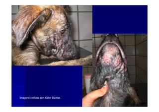 Imagens cedidas por Kilder Dantas
 