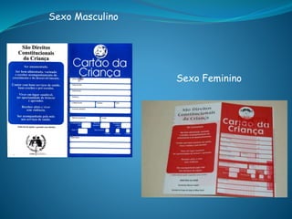 Sexo Masculino
Sexo Feminino
 