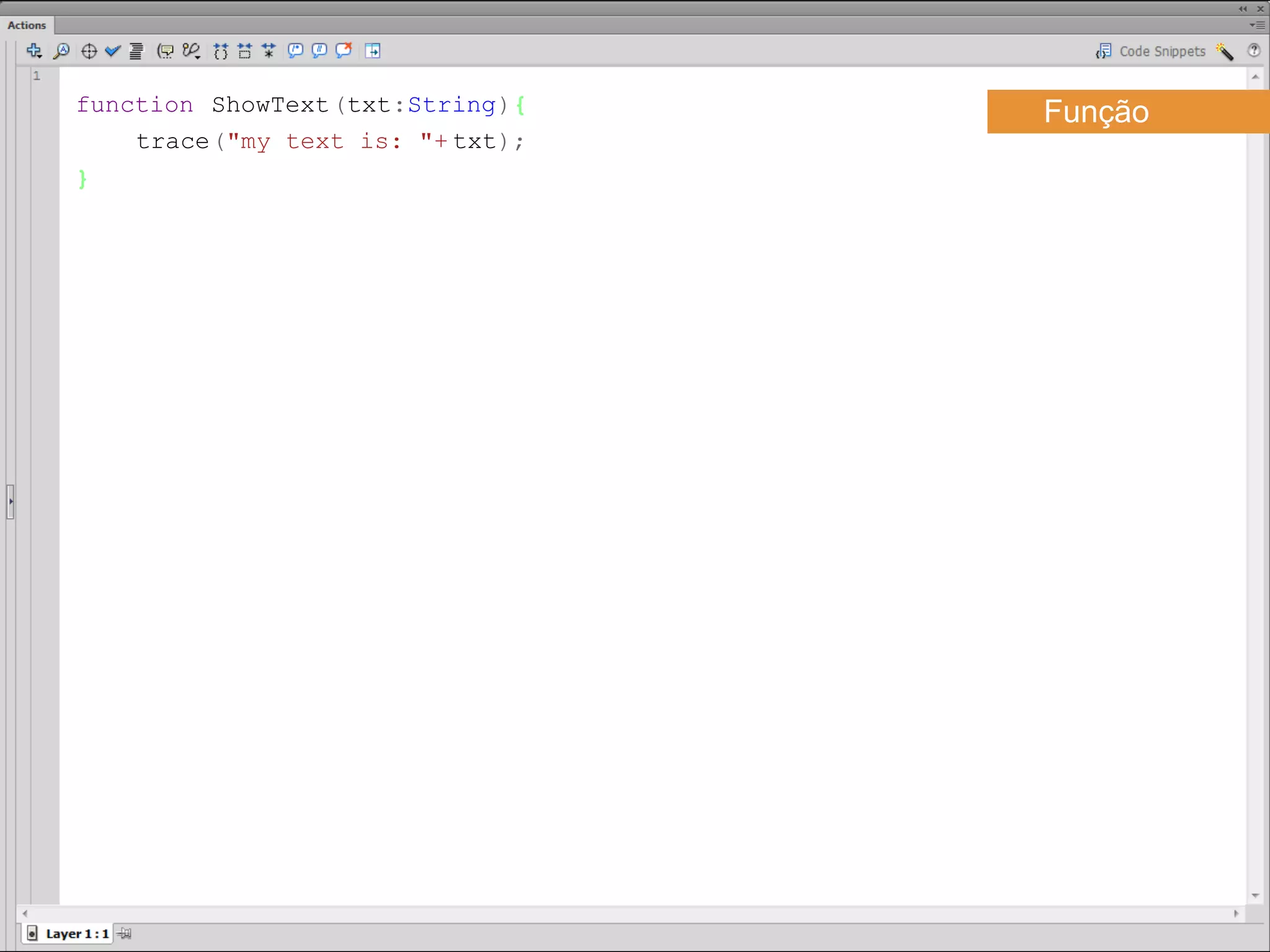 function ShowText(txt:String){    Função
    trace("my text is: "+ txt);
}​
 