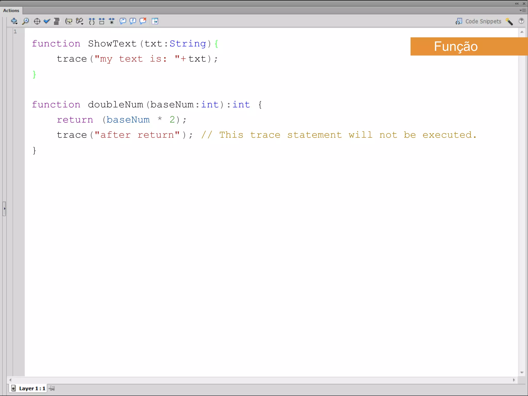 function ShowText(txt:String){                                   Função
    trace("my text is: "+ txt);
}​

function doubleNum(baseNum:int):int {
    return (baseNum * 2);
    trace("after return" ); // This trace statement will not be executed.
}​
 