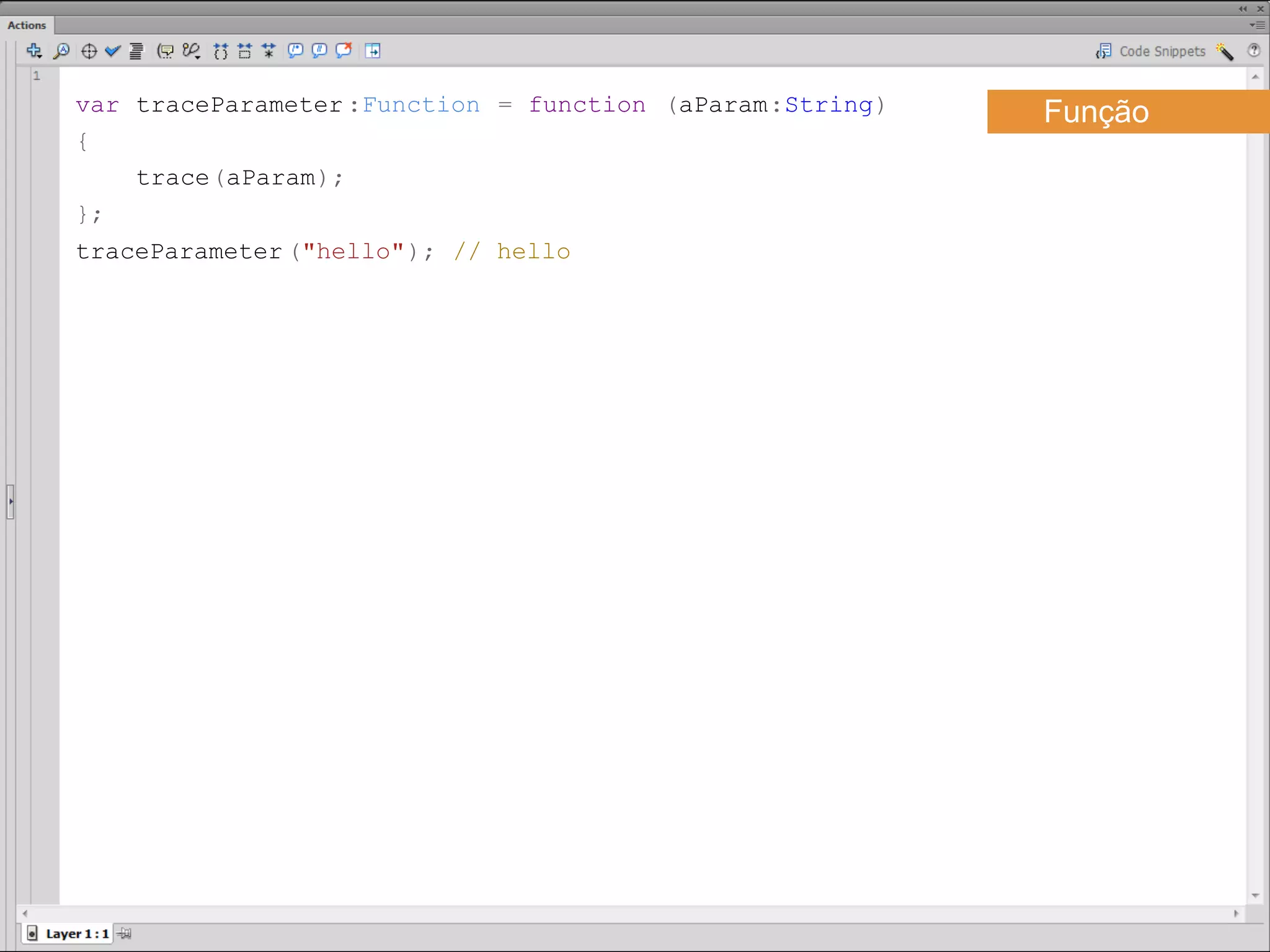 var traceParameter :Function = function (aParam:String)   Função
{
    trace(aParam);
};
traceParameter ("hello"); // hello​​
 