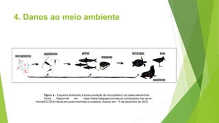 4. Danos ao meio ambiente
Figura 4 - Esquema ilustrando a bioacumulação de microplástico na cadeia alimentícia.
Fonte: Disponível em: https://www.batepapocomnetuno.com/post/do-mar-ao-ar-
micropl%C3%A1sticos-em-aves-marinhas-e-costeiras. Acesso em: 10 de dezembro de 2022.
 