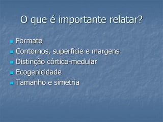 O que é importante relatar?
 Formato
 Contornos, superfície e margens
 Distinção córtico-medular
 Ecogenicidade
 Tamanho e simetria
 